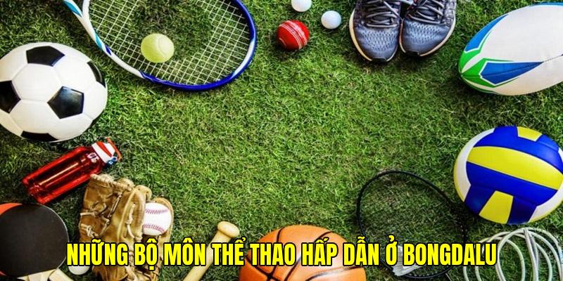 Tổng hợp các môn thể thao được đơn vị chú trọng