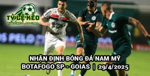 Nhận định bóng đá Nam Mỹ: Botafogo vs Goias 29/4/2025