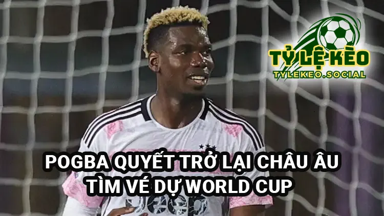 Paul Pogba quyết trở lại Châu Âu dự World Cup 2026